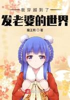 李辰主角唐朝穿越