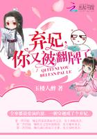 精灵宝可梦我是精灵的