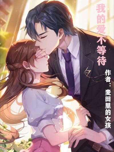 总统先生的心尖宠 大结局