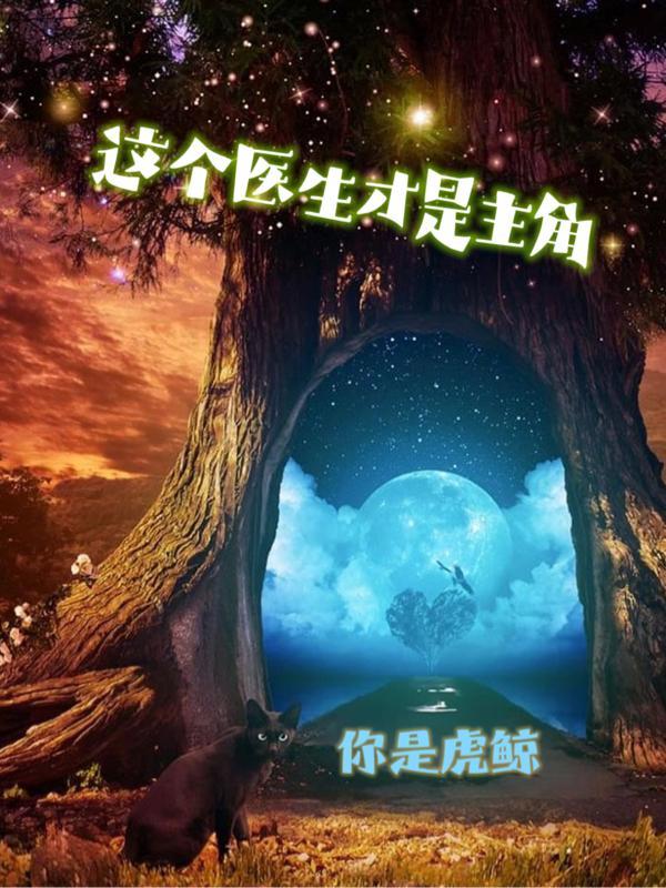 火影博人传解说