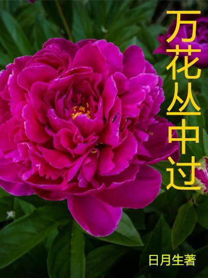 每天被迫和大佬谈恋爱第一卷